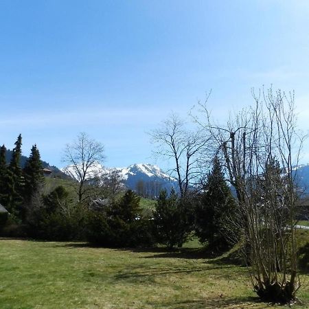 Charly Studio In Gstaad Luaran gambar